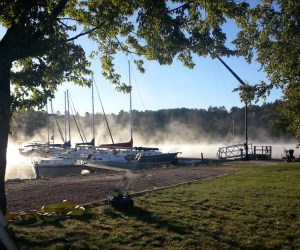 Sailboats in a small foggy harbour surrounded by trees.