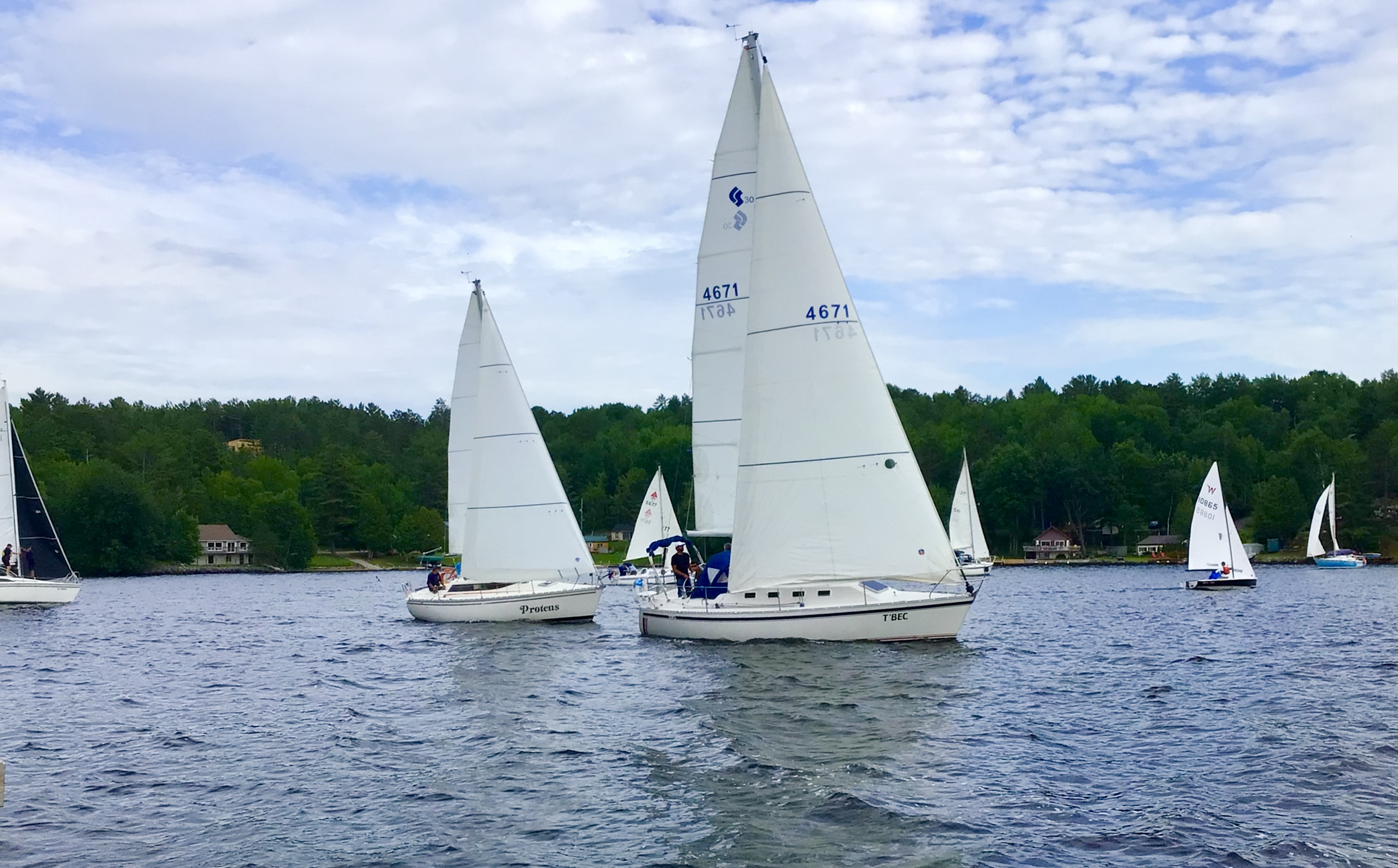Group of sailboats racing on a lake